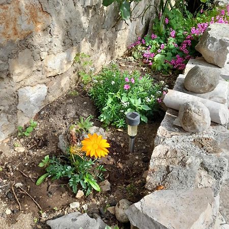 שיבניק Apartmani Sanja חדר תמונה