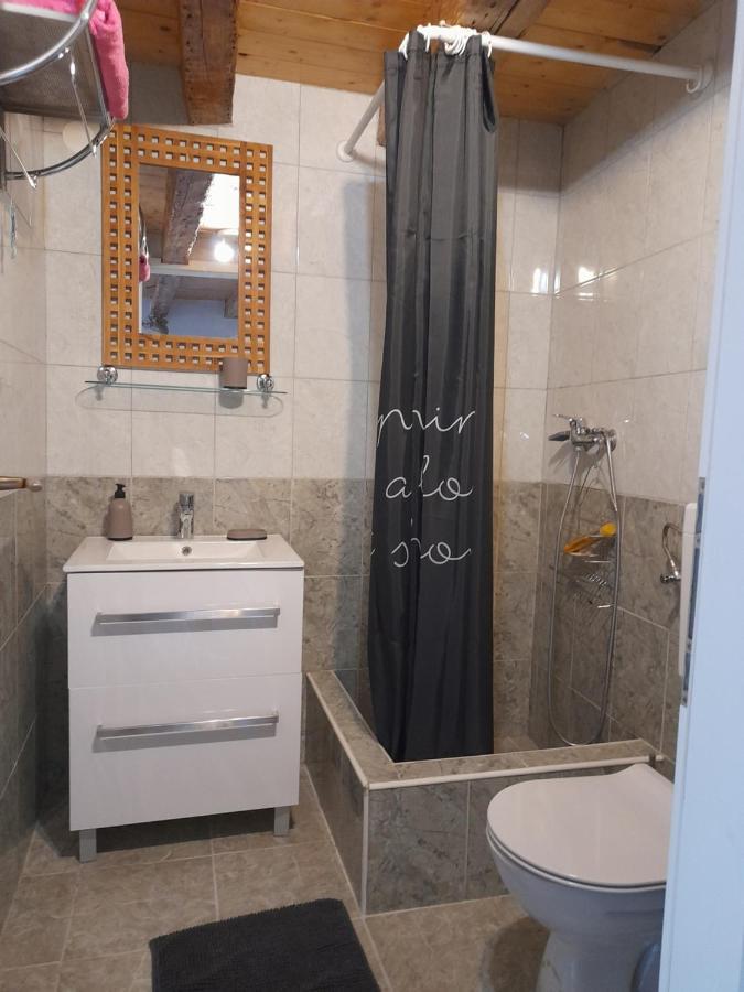 שיבניק Apartmani Sanja מראה חיצוני תמונה